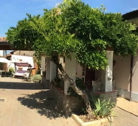 I Girasoli Di Migliarino Migliarino Pisano Exterior photo