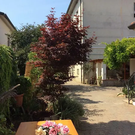 I Girasoli Di Migliarino Migliarino Pisano Exterior photo
