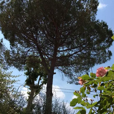I Girasoli Di Migliarino Migliarino Pisano Exterior photo
