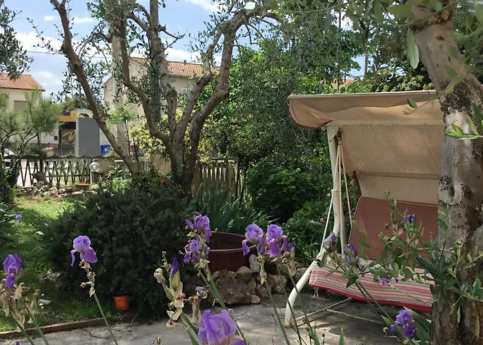 I Girasoli Di Migliarino