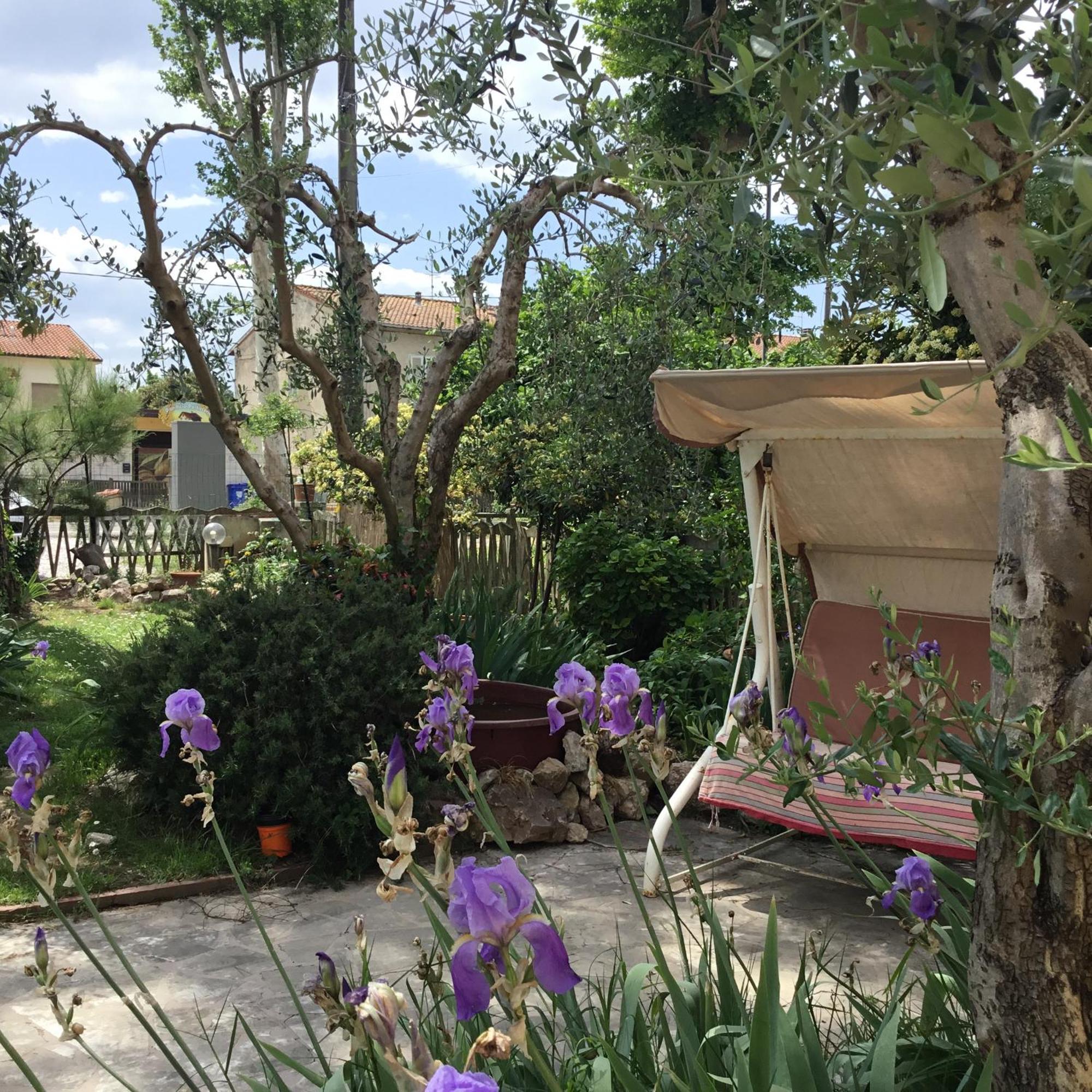 Guest house I Girasoli Di Migliarino Migliarino Pisano