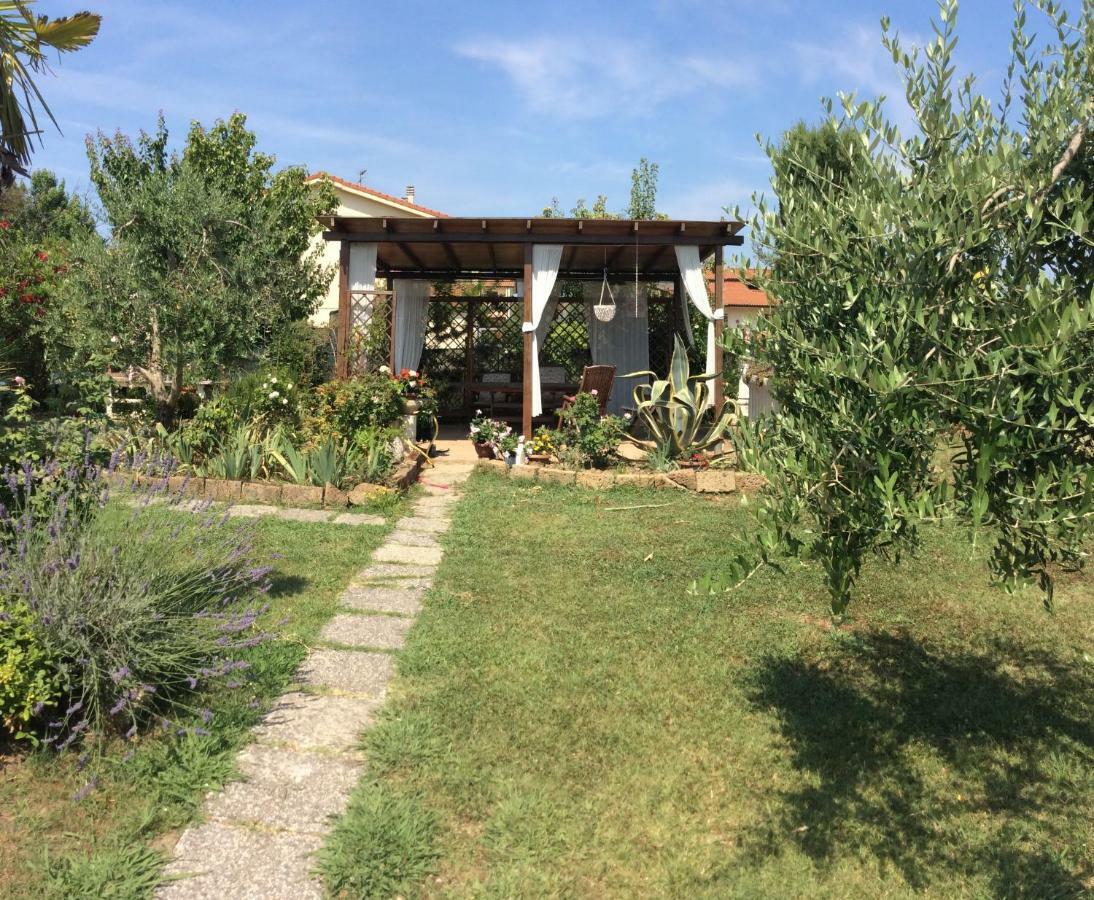Guest house I Girasoli Di Migliarino *
