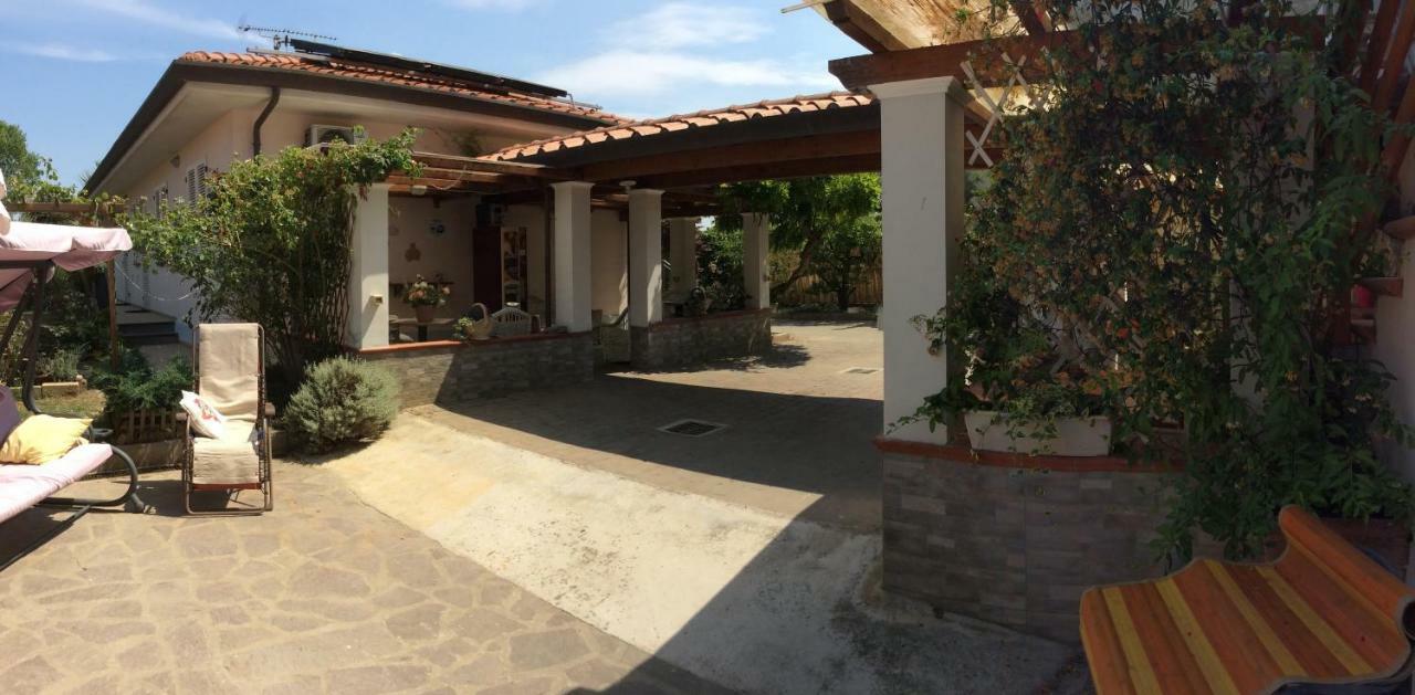 I Girasoli Di Migliarino * Migliarino Pisano