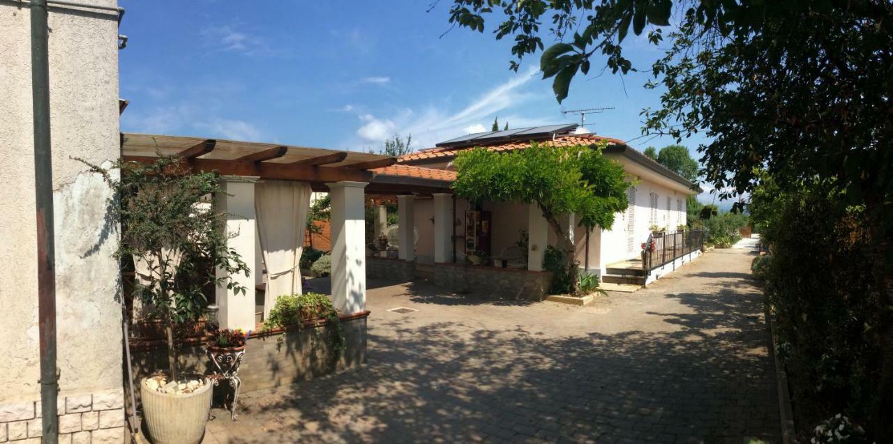 I Girasoli Di Migliarino Guest house Migliarino Pisano