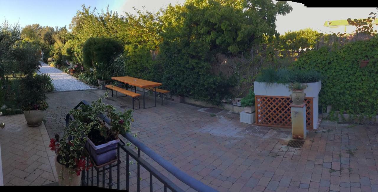 I Girasoli Di Migliarino Guest house Migliarino Pisano