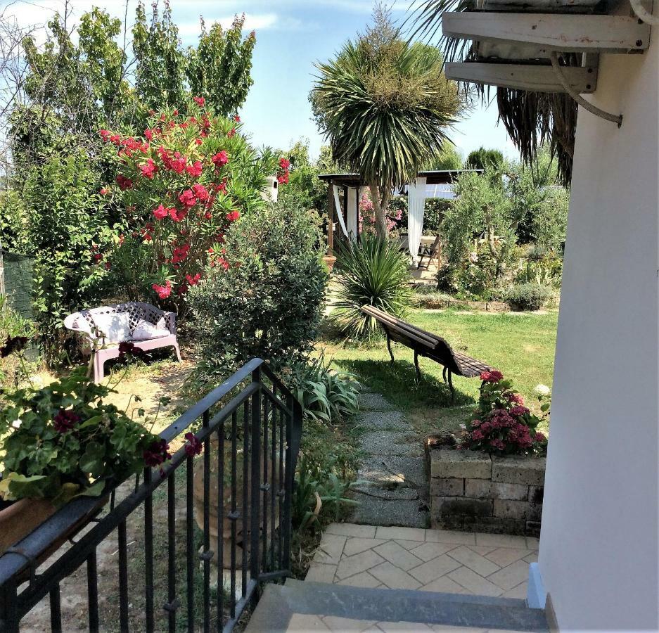 I Girasoli Di Migliarino Migliarino Pisano
